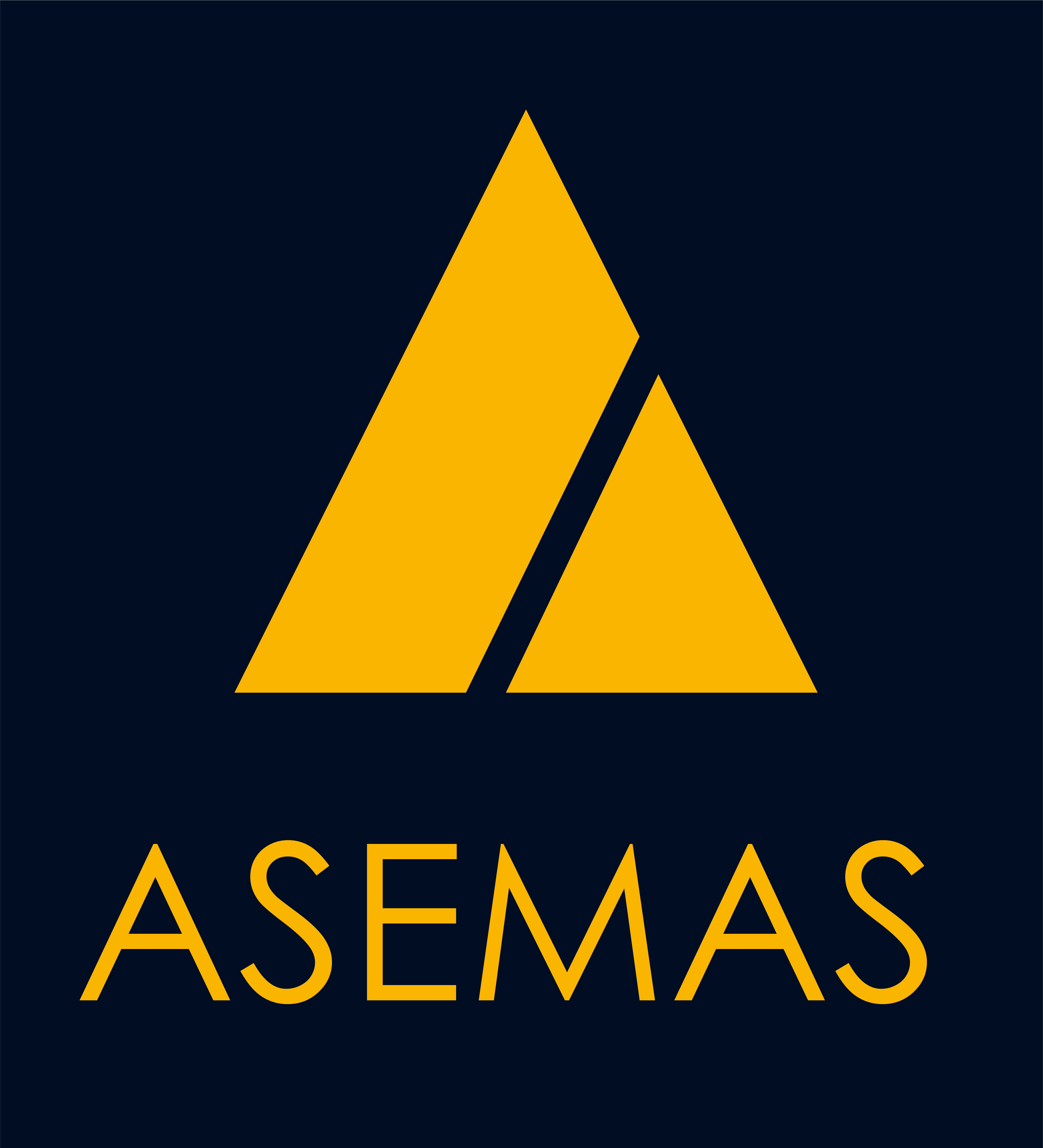 LOGO ASEMAS